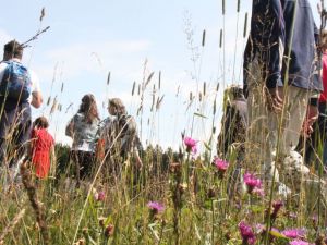 ua120714wandeltochten20.JPG